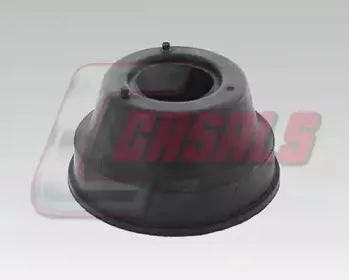 casals-6350