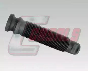 casals-7561