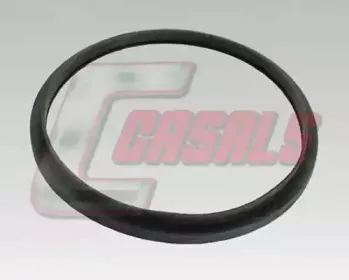 casals-7646