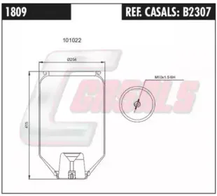 casals-b2307