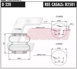 casals-b2501