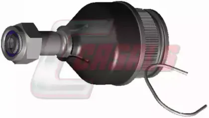 casals-r1039