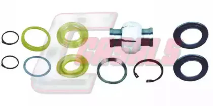 casals-r5398