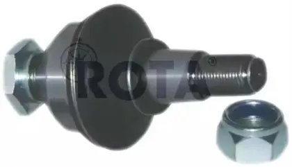 rota-2011530