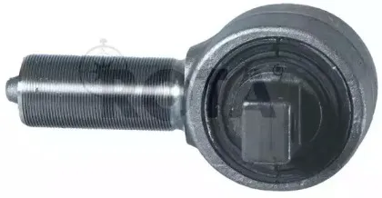 rota-2058874