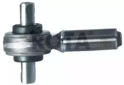 rota-2058916