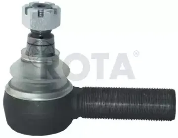 rota-2072161