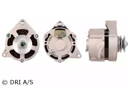 dri-216001302