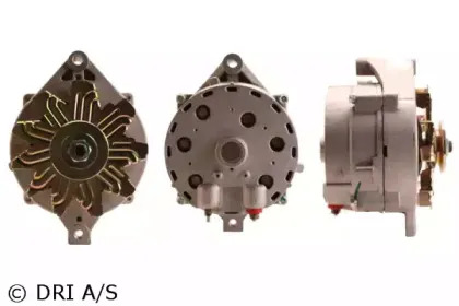dri-519003902