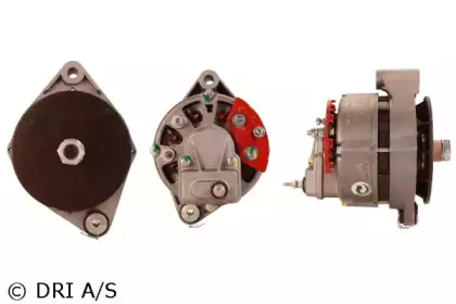 dri-538002352