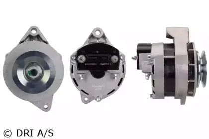 dri-538001352