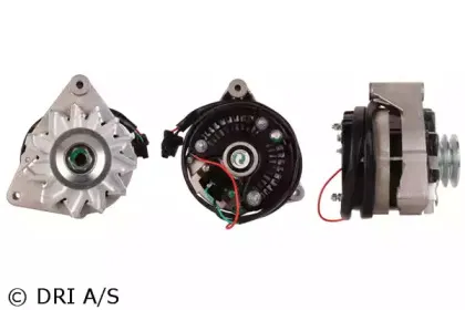 dri-238004552