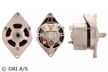 dri-200016282