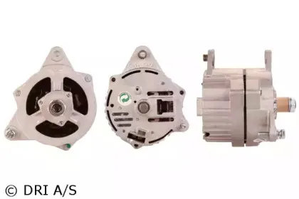dri-237104362