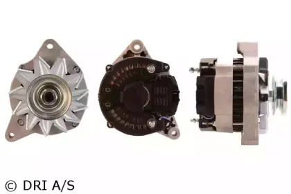 dri-234101502