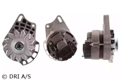 dri-218195652