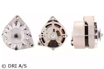 dri-225101552