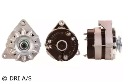 dri-231102552