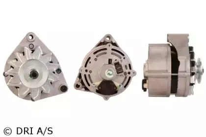 dri-225101652