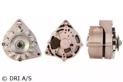 dri-225101352