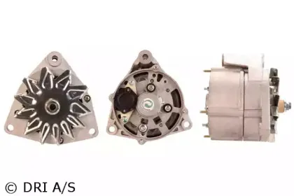 dri-500103552