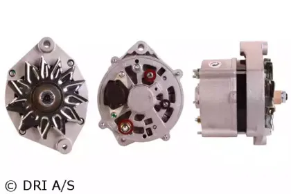 dri-238110902