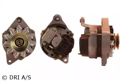 dri-218109552
