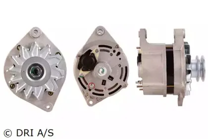 dri-229109752