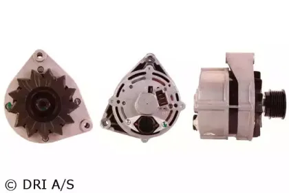 dri-225103702