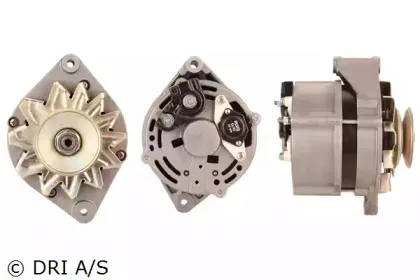 dri-228113552