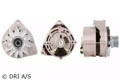 dri-225104702