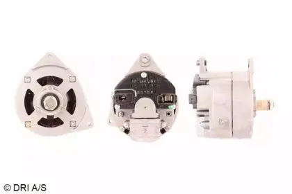 dri-500148552