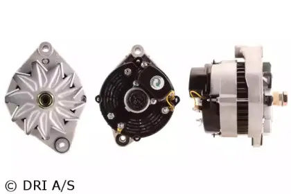 dri-500109502