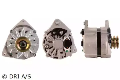 dri-219107902
