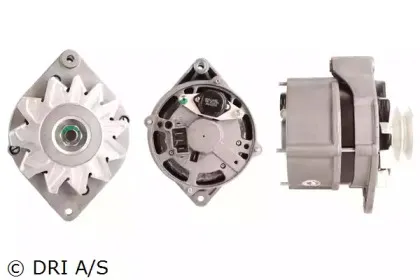 dri-218119452