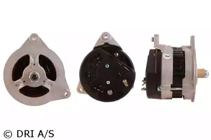 dri-214149802