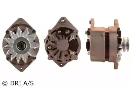 dri-219113902