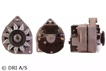 dri-229110802