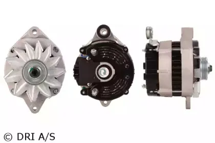 dri-200125702