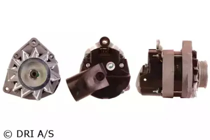 dri-230120902