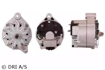 dri-500109352