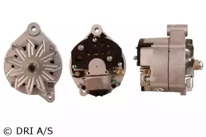 dri-500109702