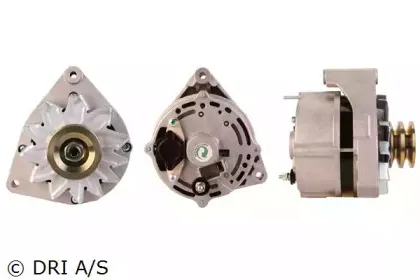 dri-238124652