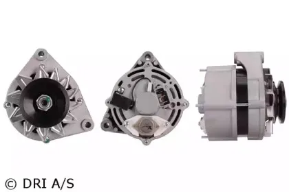 dri-225102552