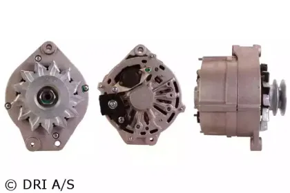dri-2111661002