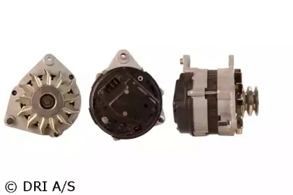 dri-219182552