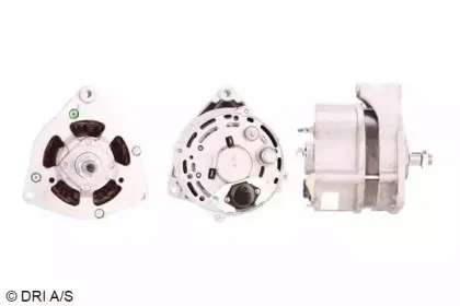 dri-500123552