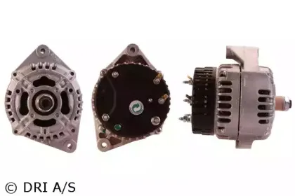 dri-500124952