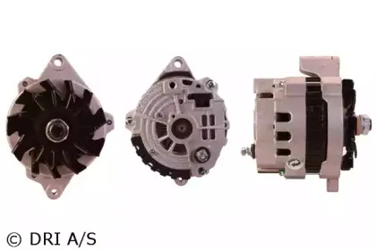 dri-528109612