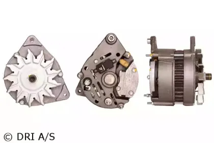 dri-244104702